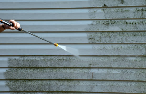 Best Garage Pressure Washing  in Homestead, FL