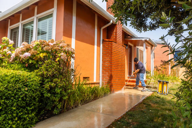 Best Affordable Pressure Washing  in Homestead, FL
