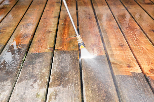 Best Pressure Washing Driveway  in Homestead, FL