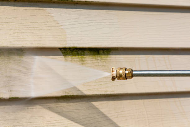 Why Choose Our Certified Pressure Washing Experts for Your Project Needs in Homestead, FL?
